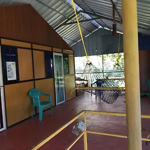 Jungleparadiso Hostel